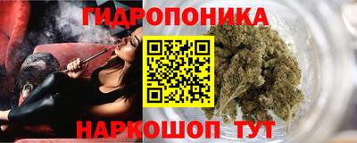 крисы Гусь-Хрустальный