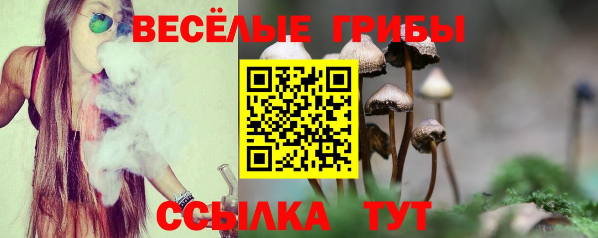 Галлюциногенные грибы Psilocybe  купить  сайты  Кулебаки  Вход с VPN 